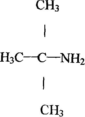 Technique for synthesizing tert-butylamine