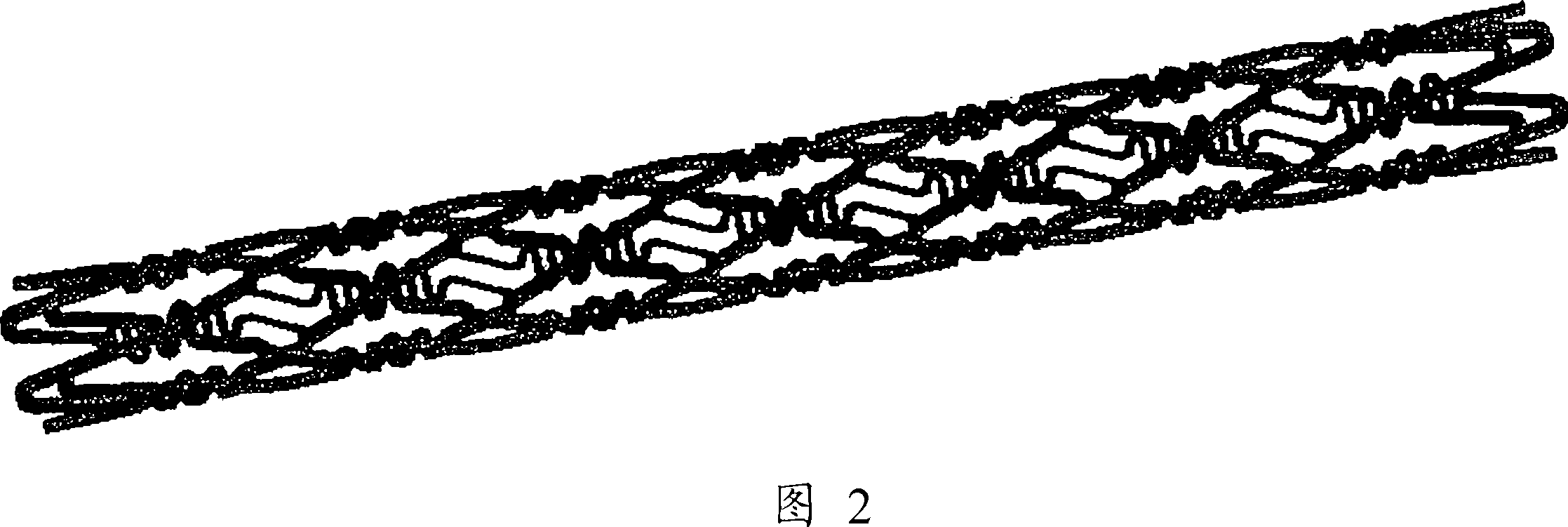 Organism indwelling support