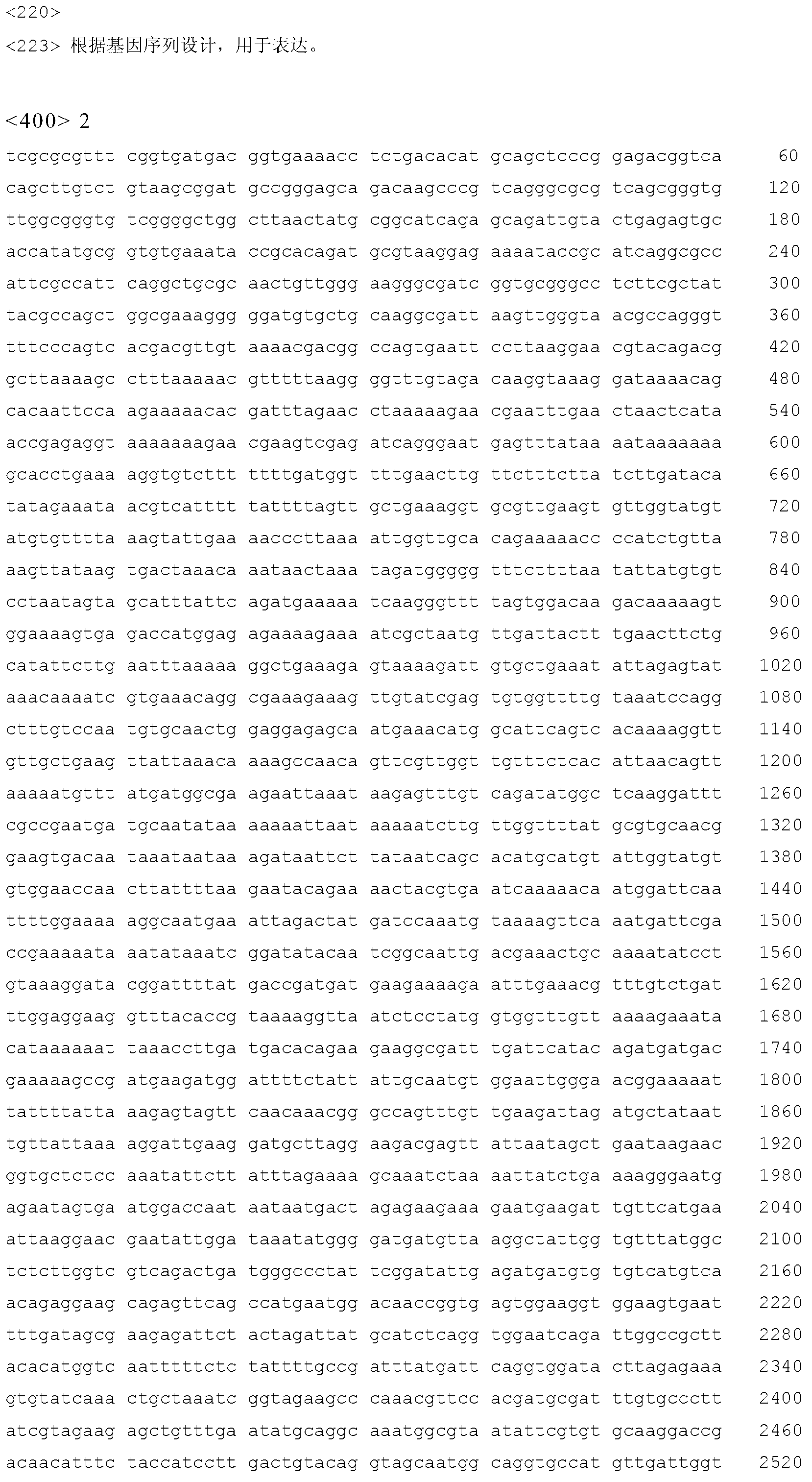 Optimized alkaline pectinase gene and application thereof