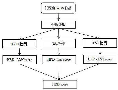 Method for evaluating HRD score based on low-depth WGS