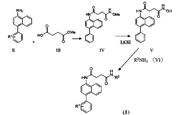 Succinic acid amide derivatives containing phenylnaphthalene rings as well as preparation method and application thereof