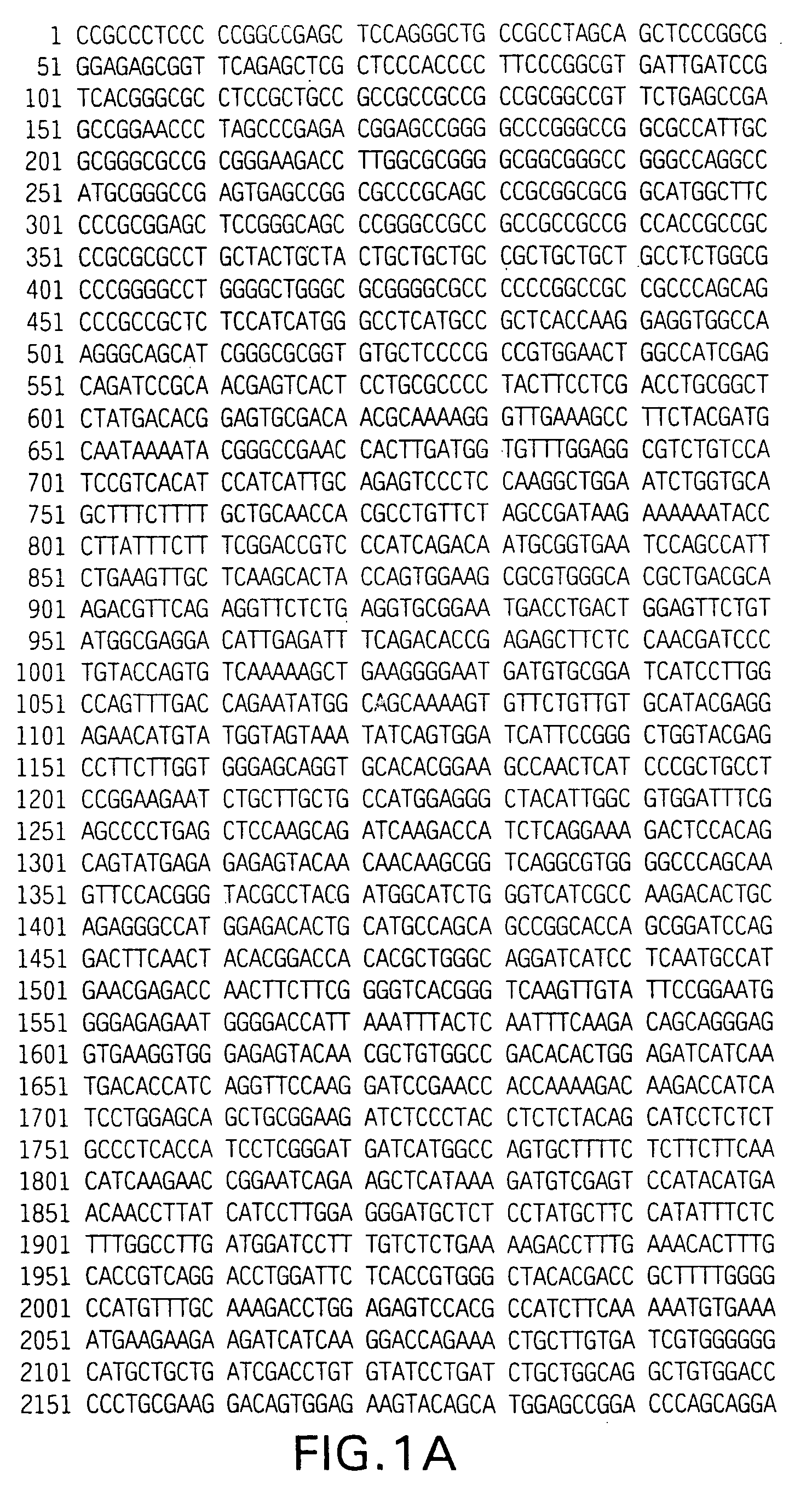 Novel GABAB receptor DNA sequences