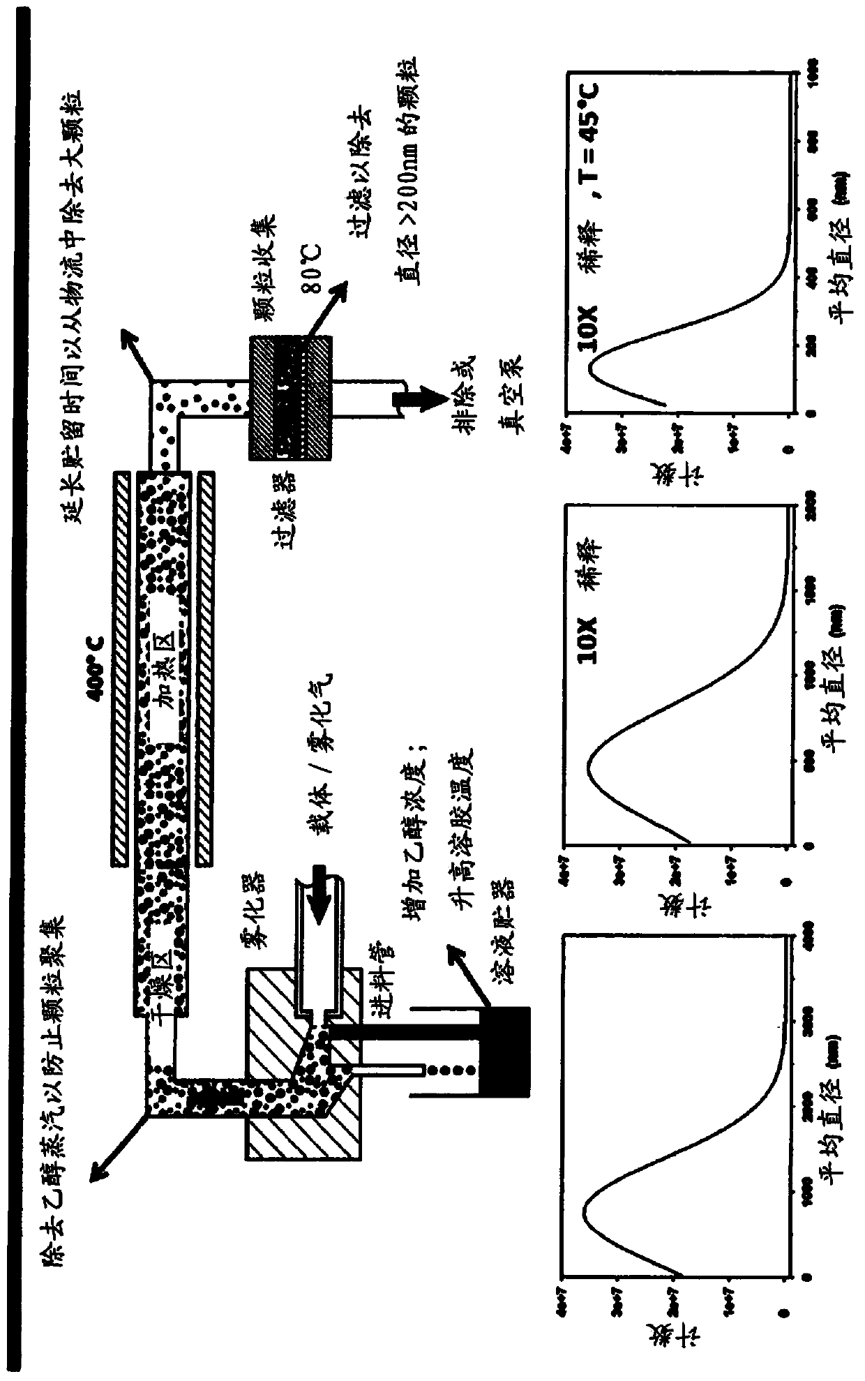 Porous nanoparticle-supported lipid bilayers (protocells) for targeted delivery including transdermal delivery of cargo and methods thereof