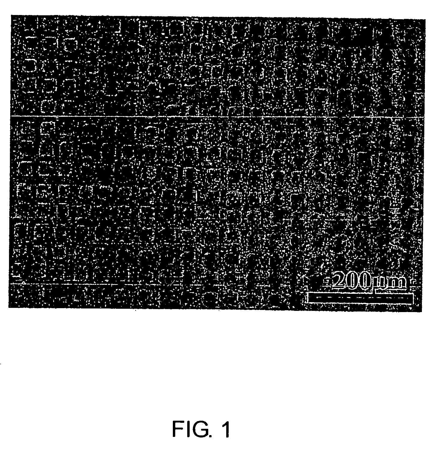 Method for producing poly(methyl methacrylate)-metal cluster composite