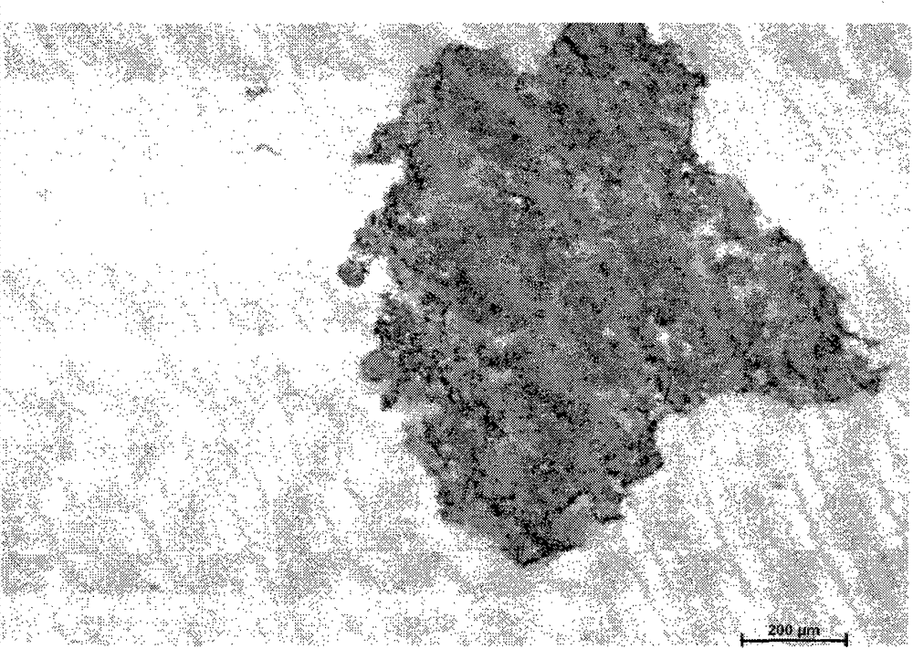 Chorispora bungeana suspended embryogenic callus transformation method