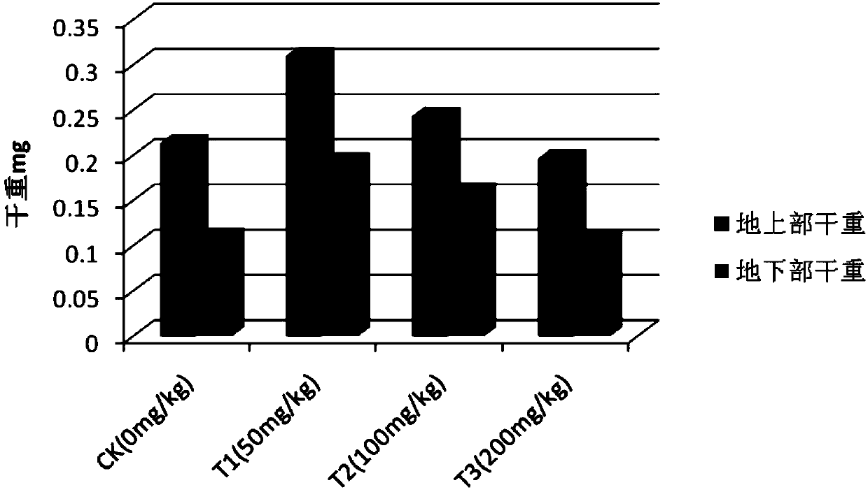 Method for plant restoration of heavy-metal-contaminated soil