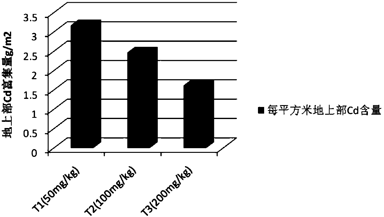 Method for plant restoration of heavy-metal-contaminated soil