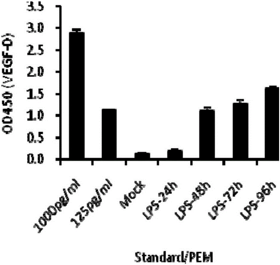 Application of vegf-c in the preparation of diagnostic reagents for sepsis and severe bacterial infection