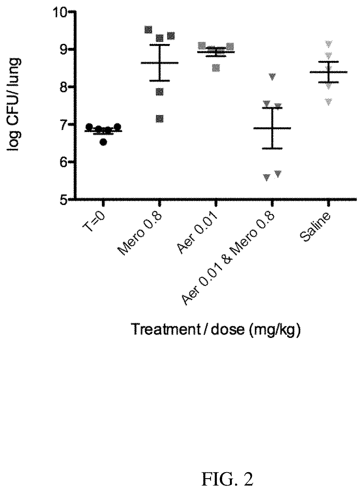 Compositions and methods against p. aeruginosa infections