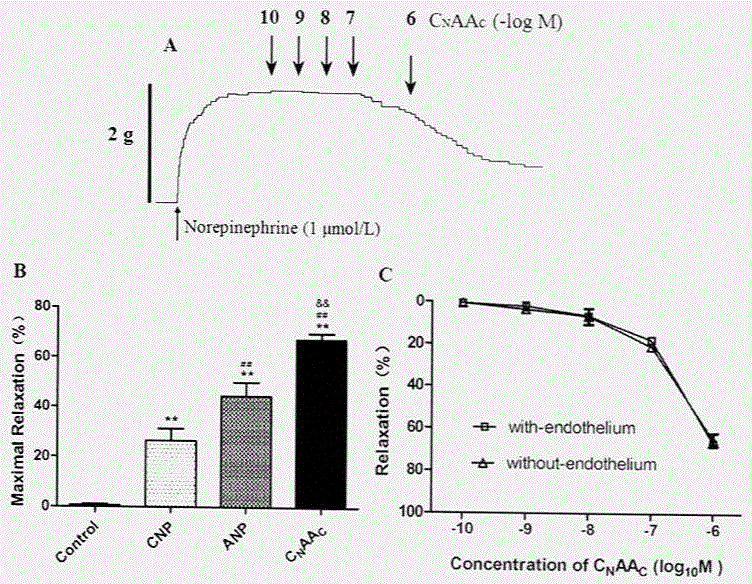 Novel natriuretic peptide chimera CNAAC with cardiac failure resistance