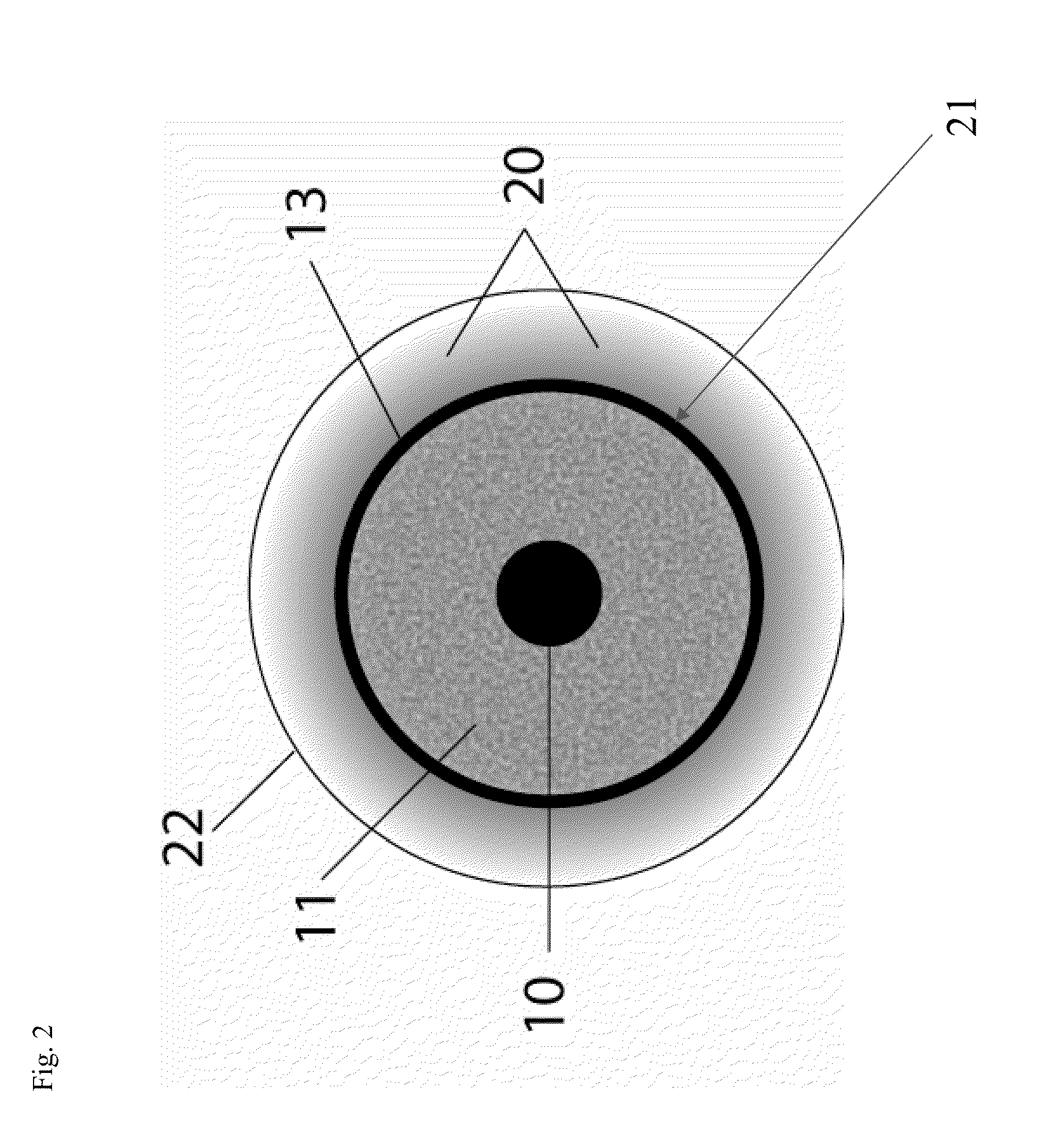 Oriented contact lens with brightly colored sclera