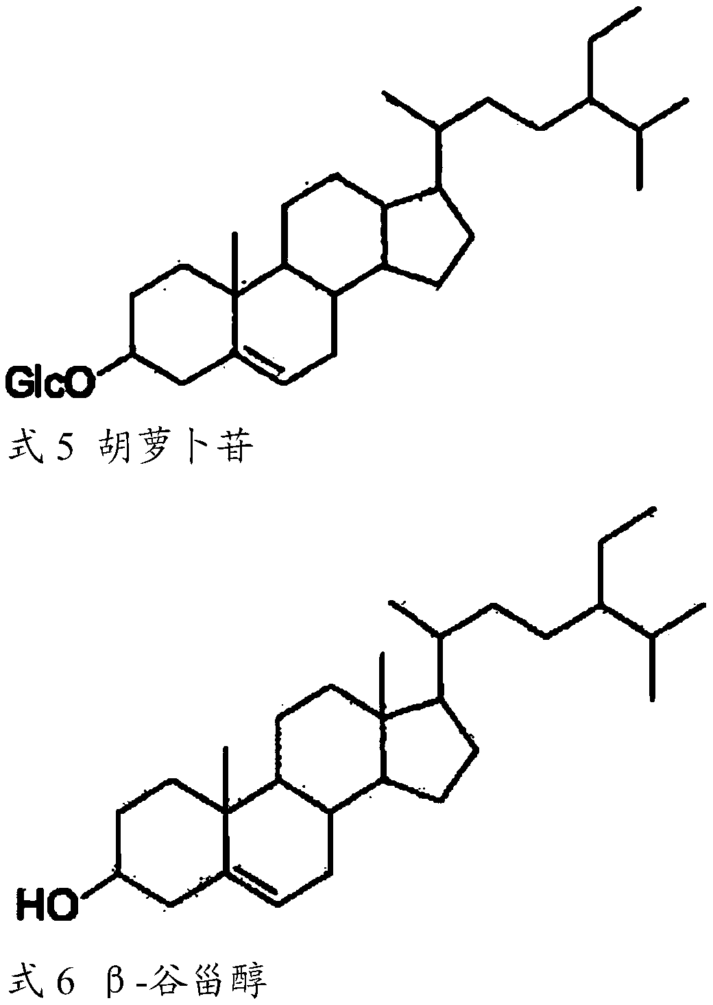 Acetylcholine esterase inhibitor prepared by using cyrtomium rhizome, preparation method and application