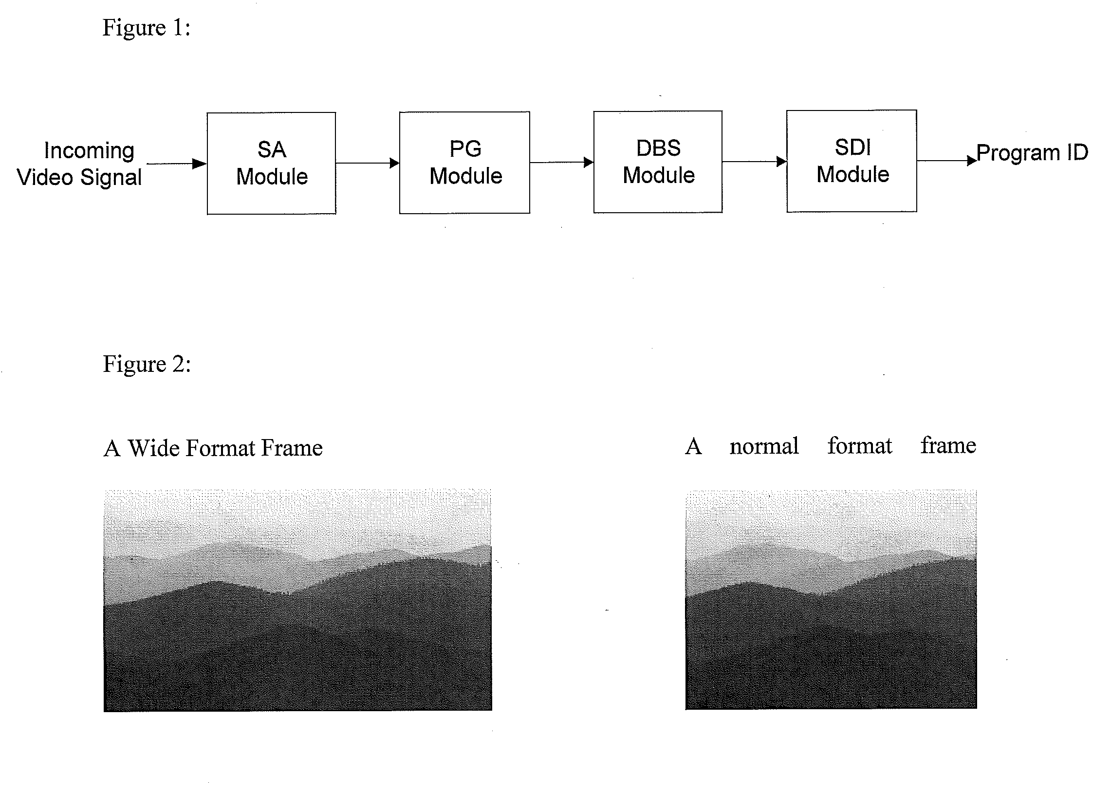Method and apparatus for automatic detection and identification of unidentified video signals