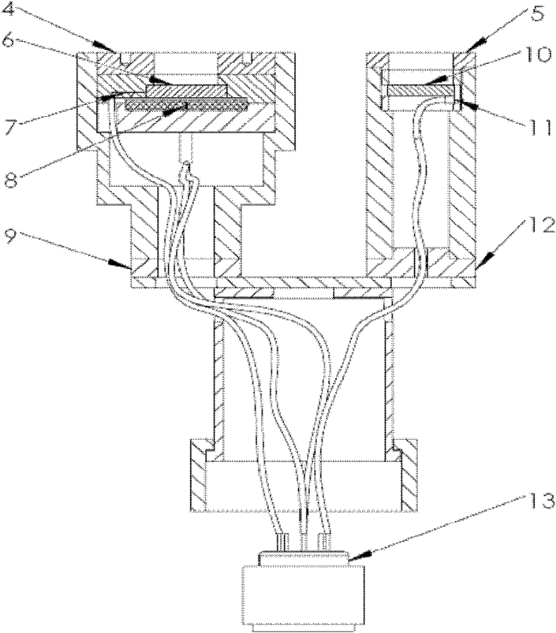 First mirror sample irradiation support and irradiation method