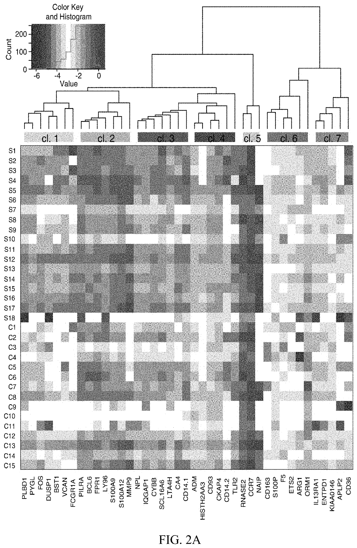 Biomarkers for predicting risk of acute ischemic stroke and methods of use thereof