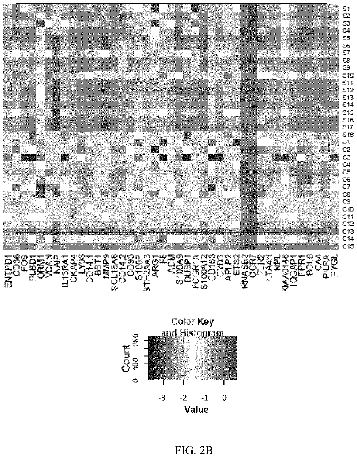 Biomarkers for predicting risk of acute ischemic stroke and methods of use thereof