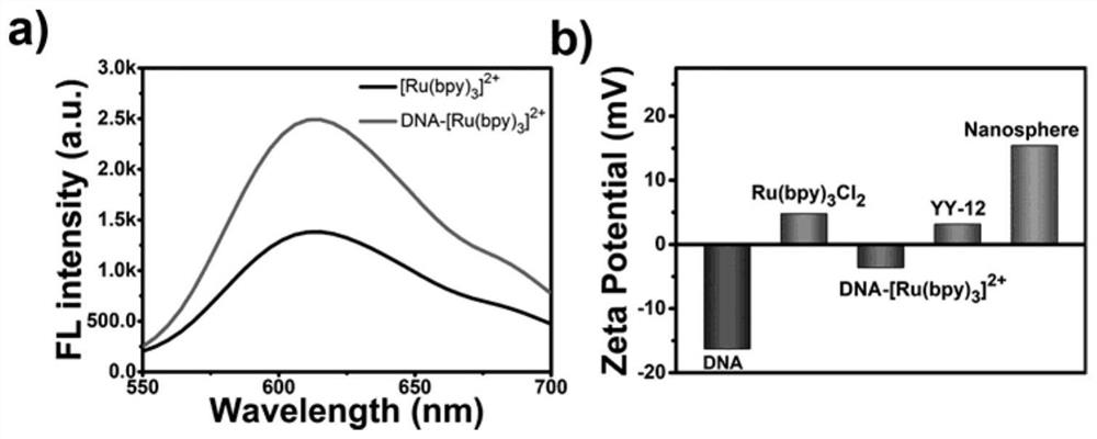 Non-viral vector formed based on covalent assembly of terpyridyl ruthenium catalytic oligopeptides, and preparation method and application of non-viral vector