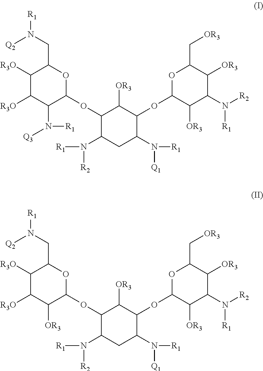 Antibacterial aminoglycoside analogs
