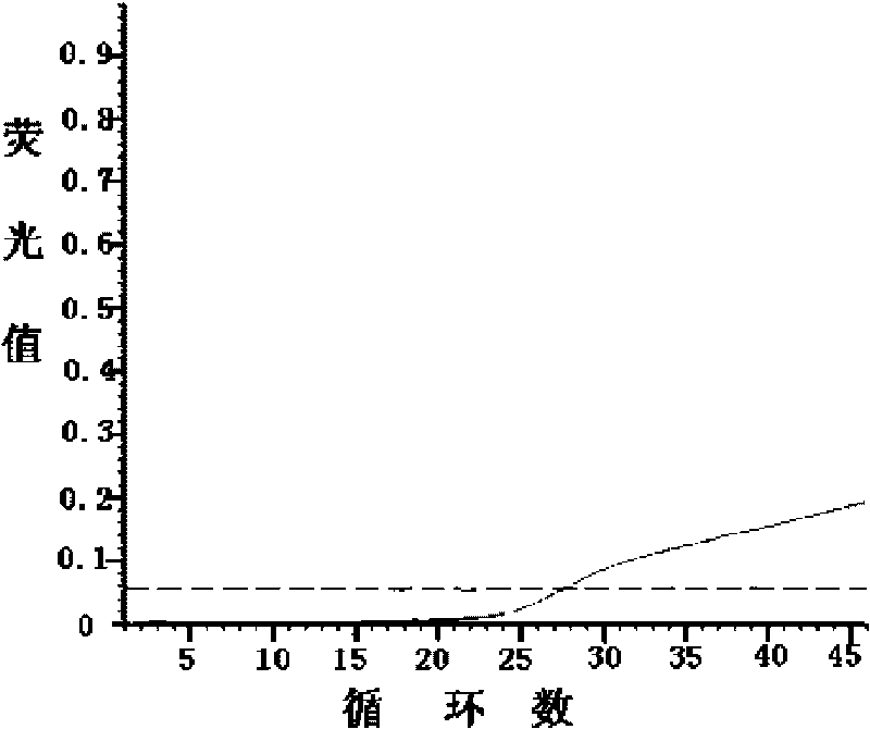 Fluorescent quantization PCR detection method for swine astrovirus