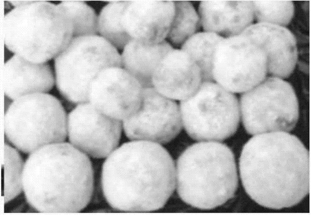Active probiotic organic fertilizer and application thereof