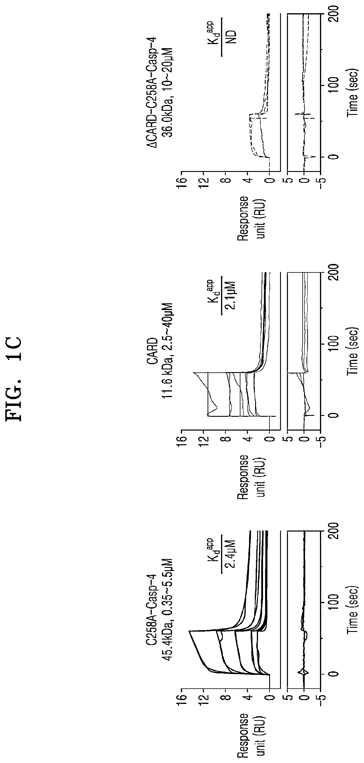 Method of screening inhibitor of caspase activity by lipopolysaccharide