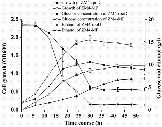 Furfural-resistant zymomonas mobilis and preparation method and application thereof