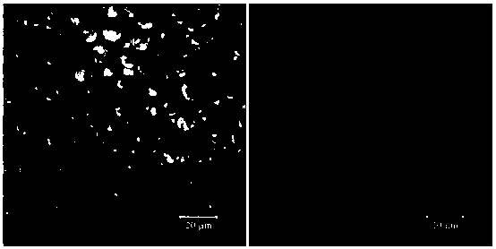 Stable O/W-type pickering emulsion by using hydroxyapatite nano particles and preparation method thereof