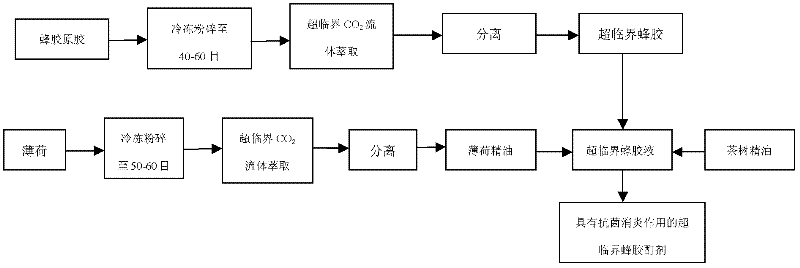 Propolis tincture for external use and preparation method thereof