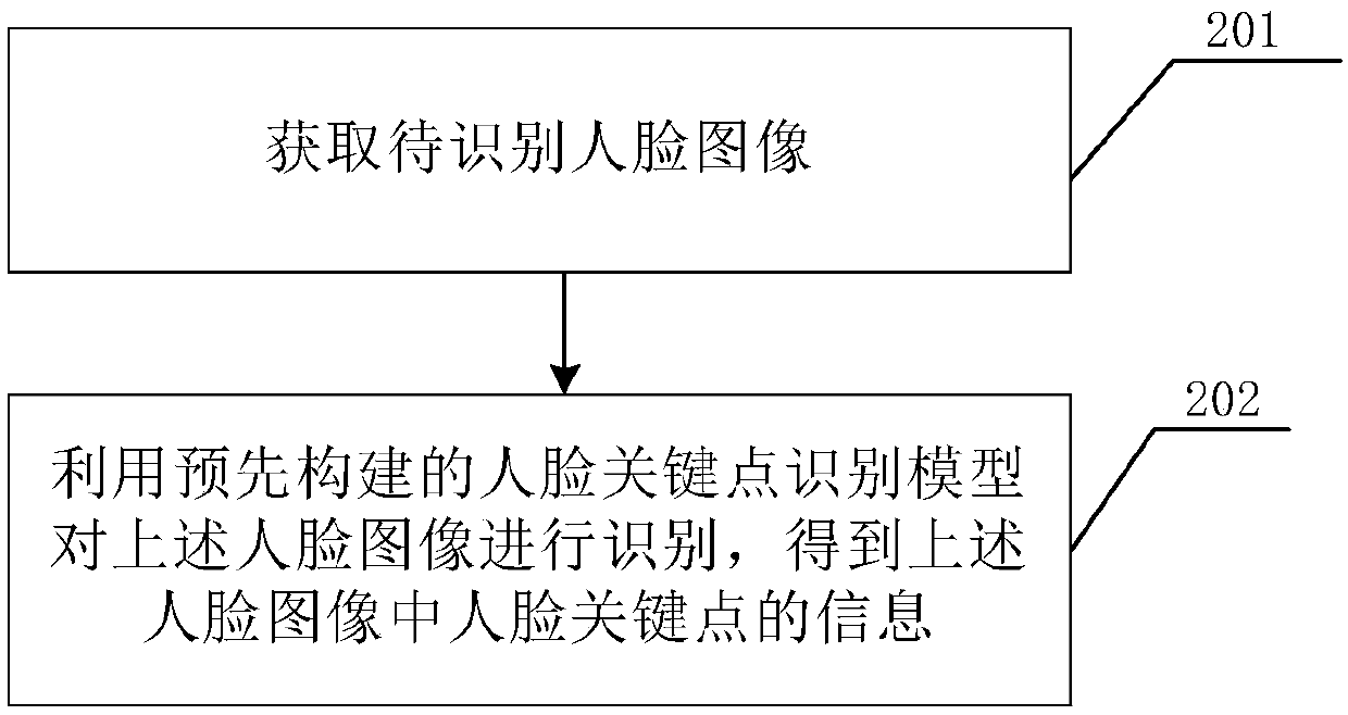 Human face key point detection method and apparatus