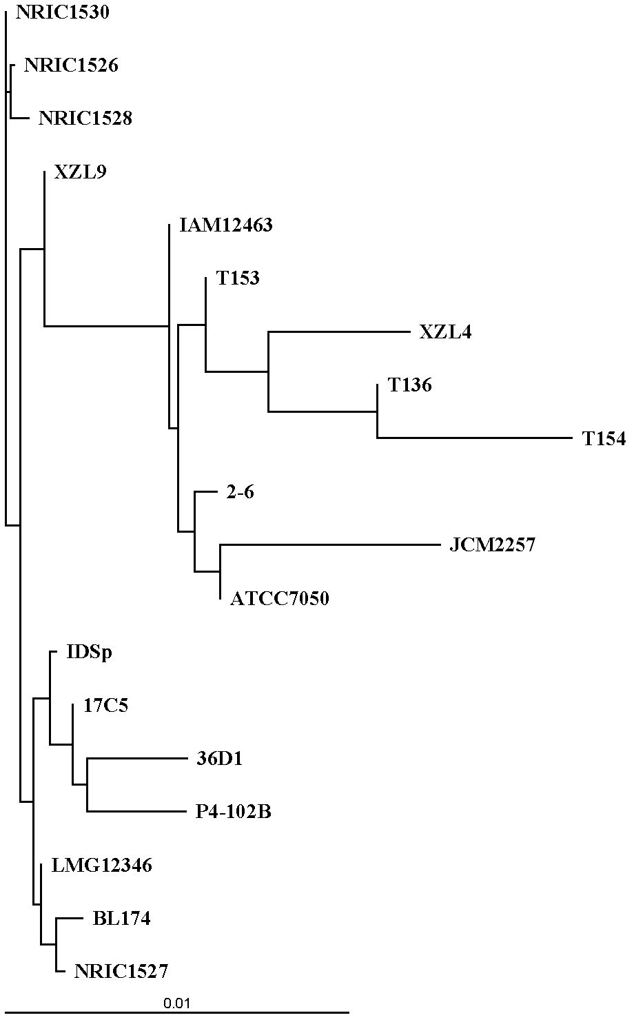 Bacillus coagulans used to preparing L-lactic acid and application method thereof