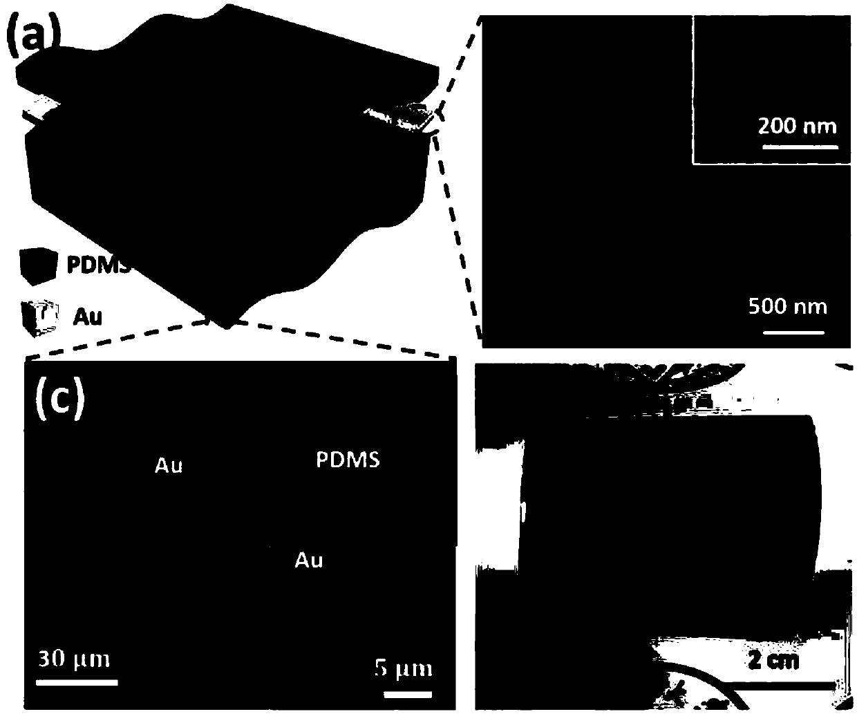 PDMS composite film doped with conductive material and preparation method thereof