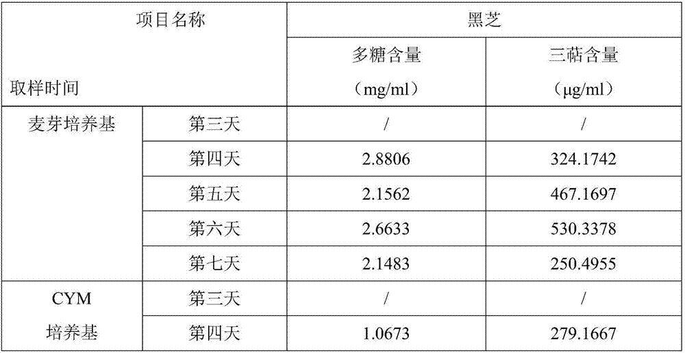 Fructificatio amaurodermatis rudae hypha fermentation broth, preparation method thereof and cosmetic with oxidation-resisting and whitening effects