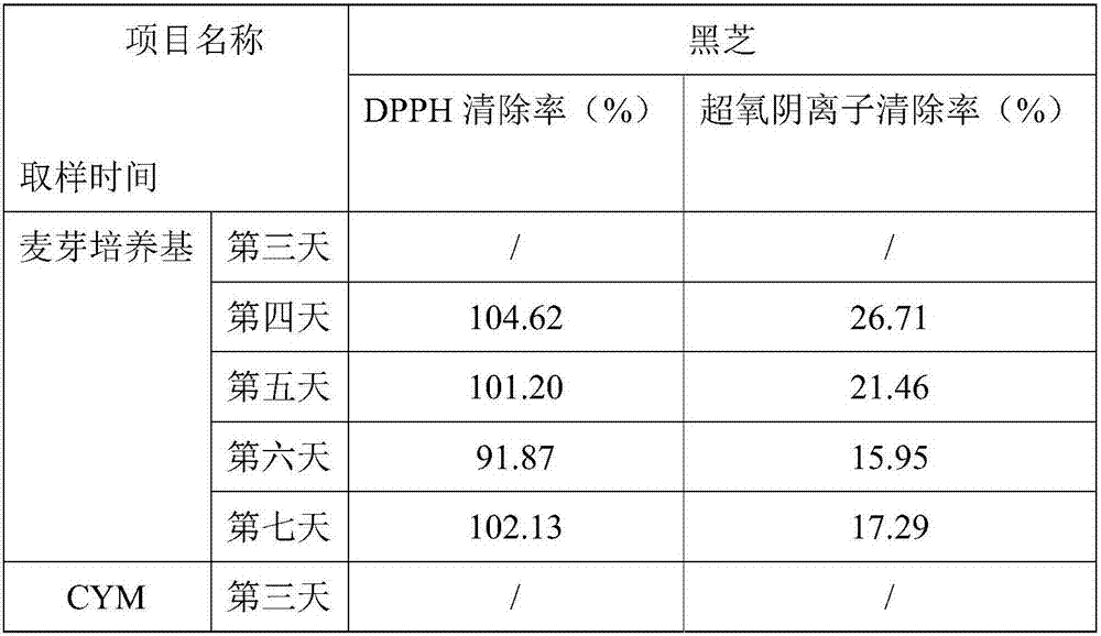 Fructificatio amaurodermatis rudae hypha fermentation broth, preparation method thereof and cosmetic with oxidation-resisting and whitening effects