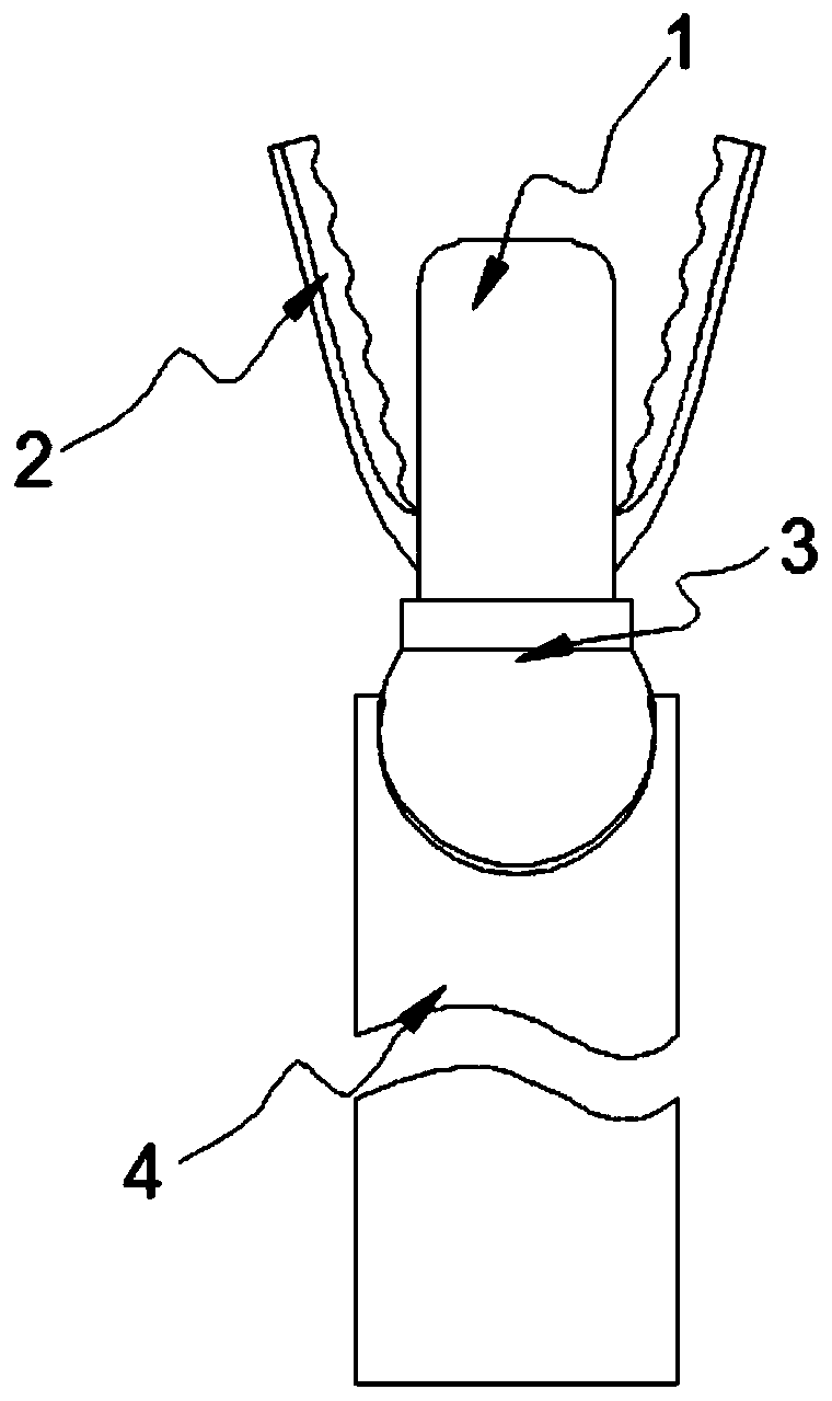 A glass panel that improves the sound gathering effect of the microphone