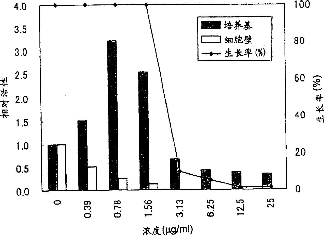 Fungal cell wall synthesis gene