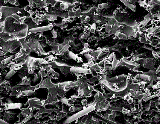 Method for preparing carbon fiber toughened silicon carbide wood-ceramics