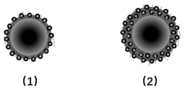 Oil-soluble film-coated particle flow regulator and its preparation method and application