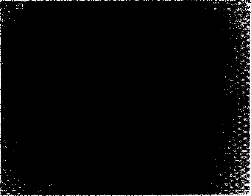 Method for compensating uneven brightness of bottom view image under nighttime infrared