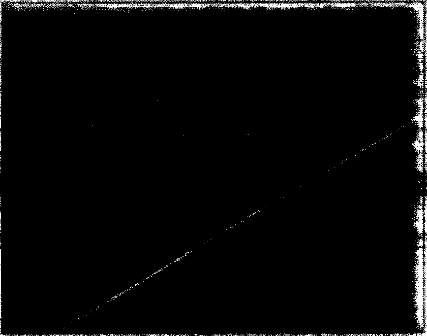 Method for compensating uneven brightness of bottom view image under nighttime infrared