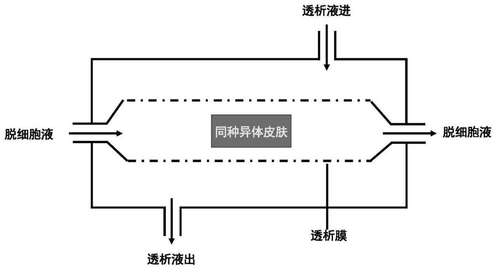 A kind of preparation method of human-derived acellular dermal matrix