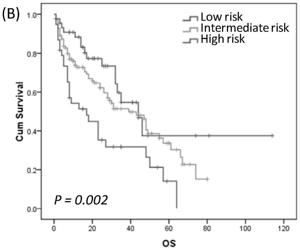 Establishment method and application of primary central nervous system lymphoma prognosis model based on albumin and ECOG-PS