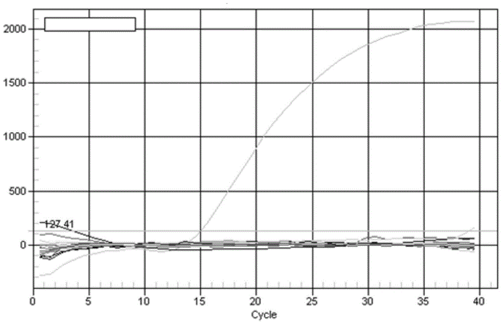 Dual-fluorescence PCR method for simultaneously detecting original components of horse and donkey