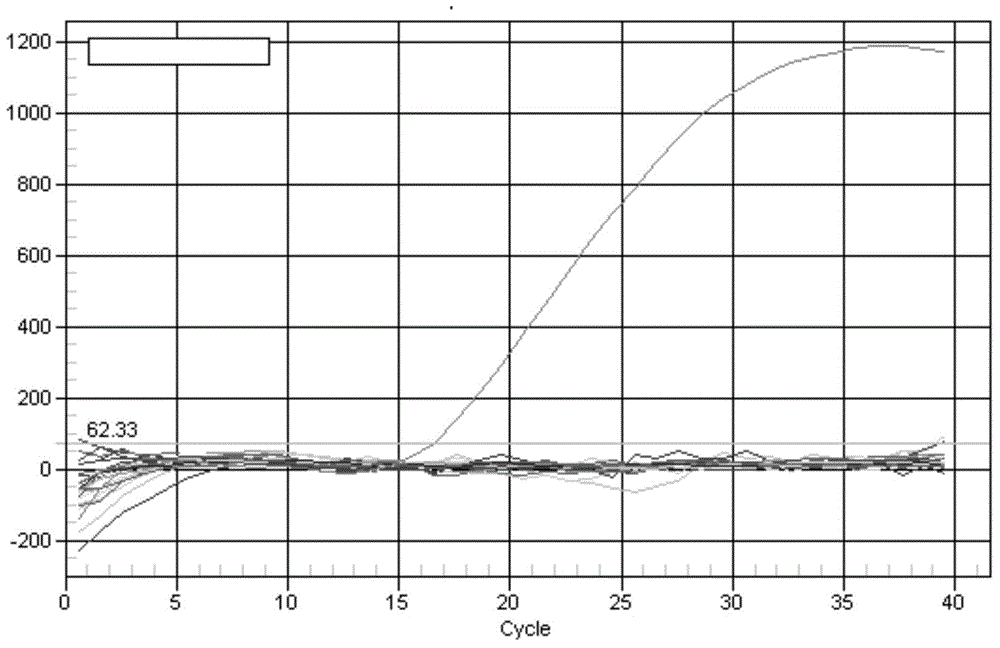 Dual-fluorescence PCR method for simultaneously detecting original components of horse and donkey