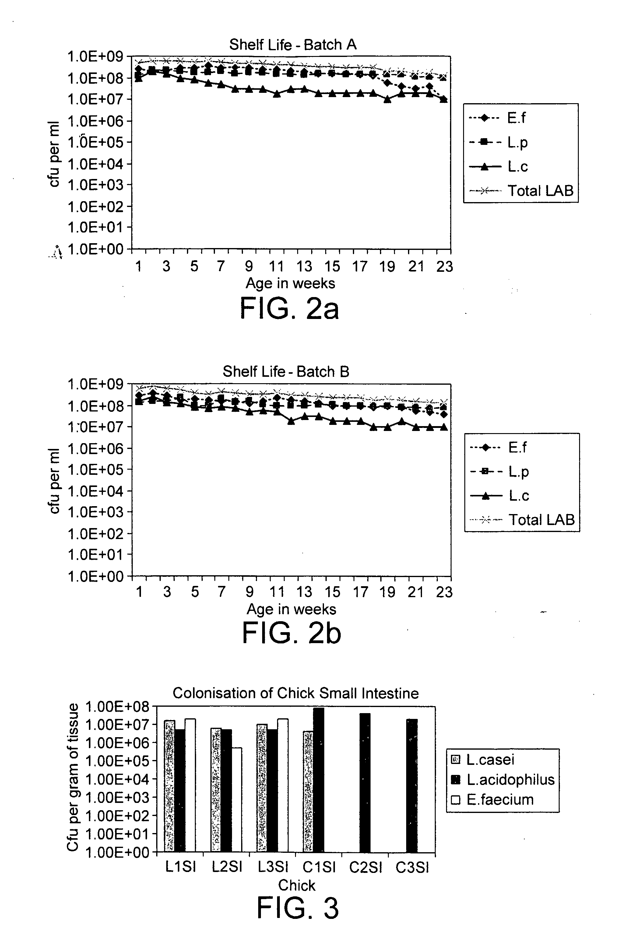 Metabolically active micro organisms and methods for their production