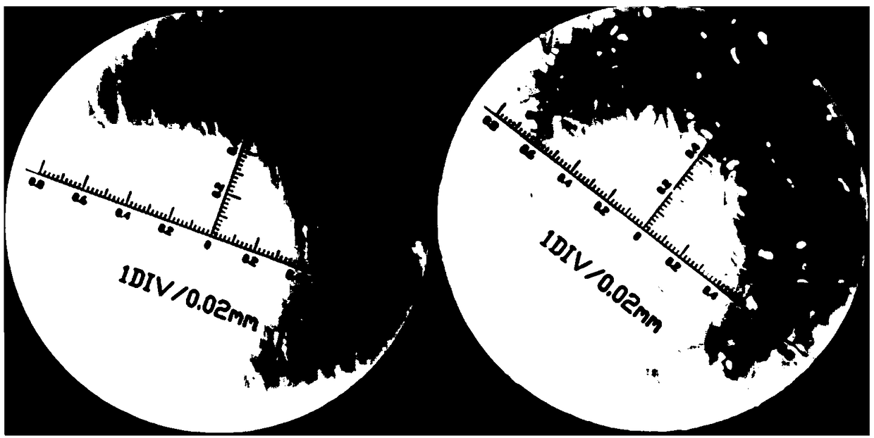 A kind of coating latex for preparing foam composite paper