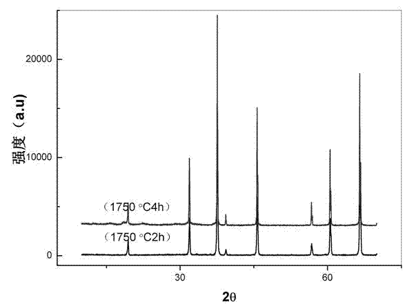 Process for preparing gamma-AlON powder by chemical coprecipitation and carbothermal reduction method