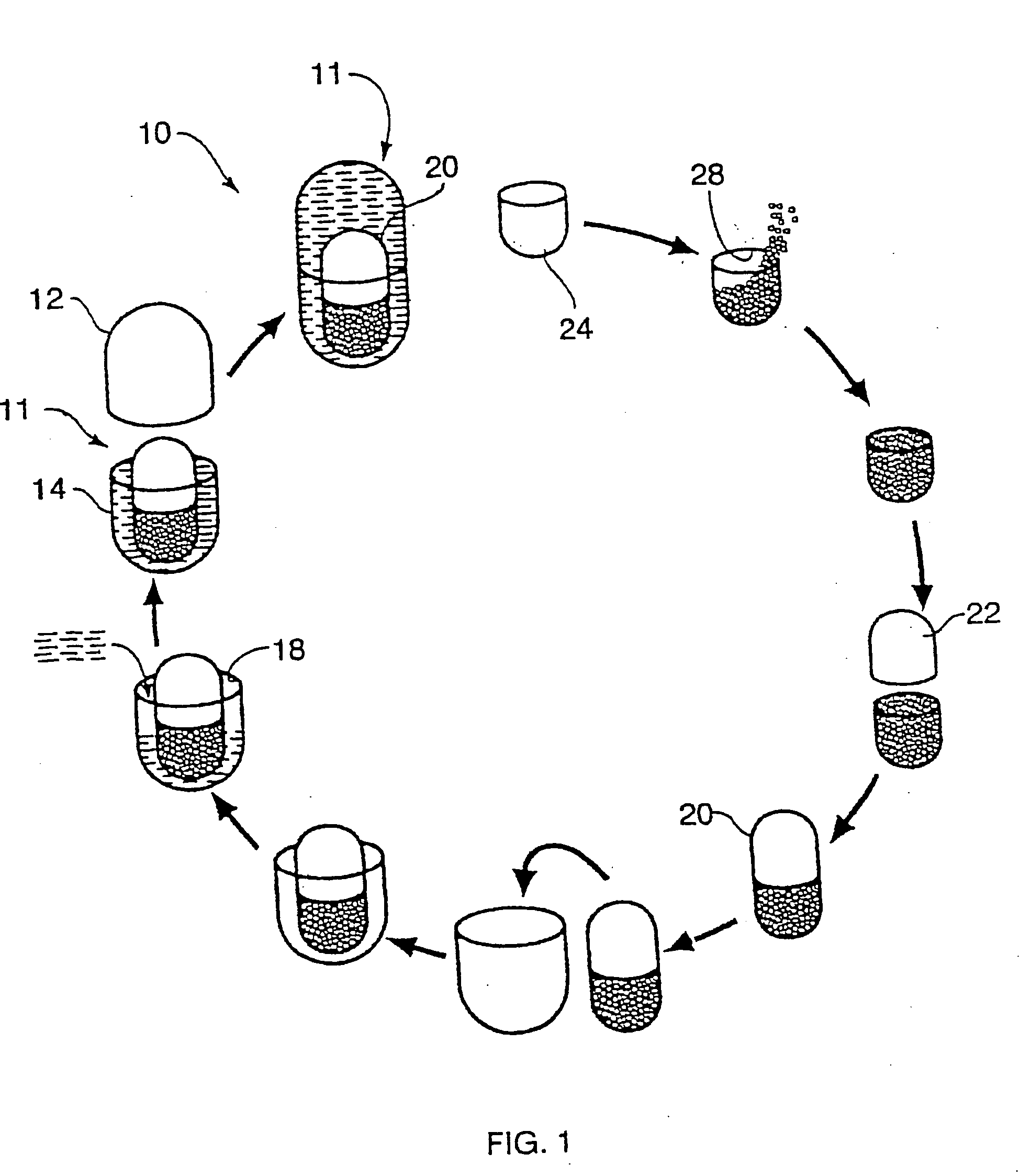 Multi-phase, multi-compartment capsular delivery apparatus and methods for using same