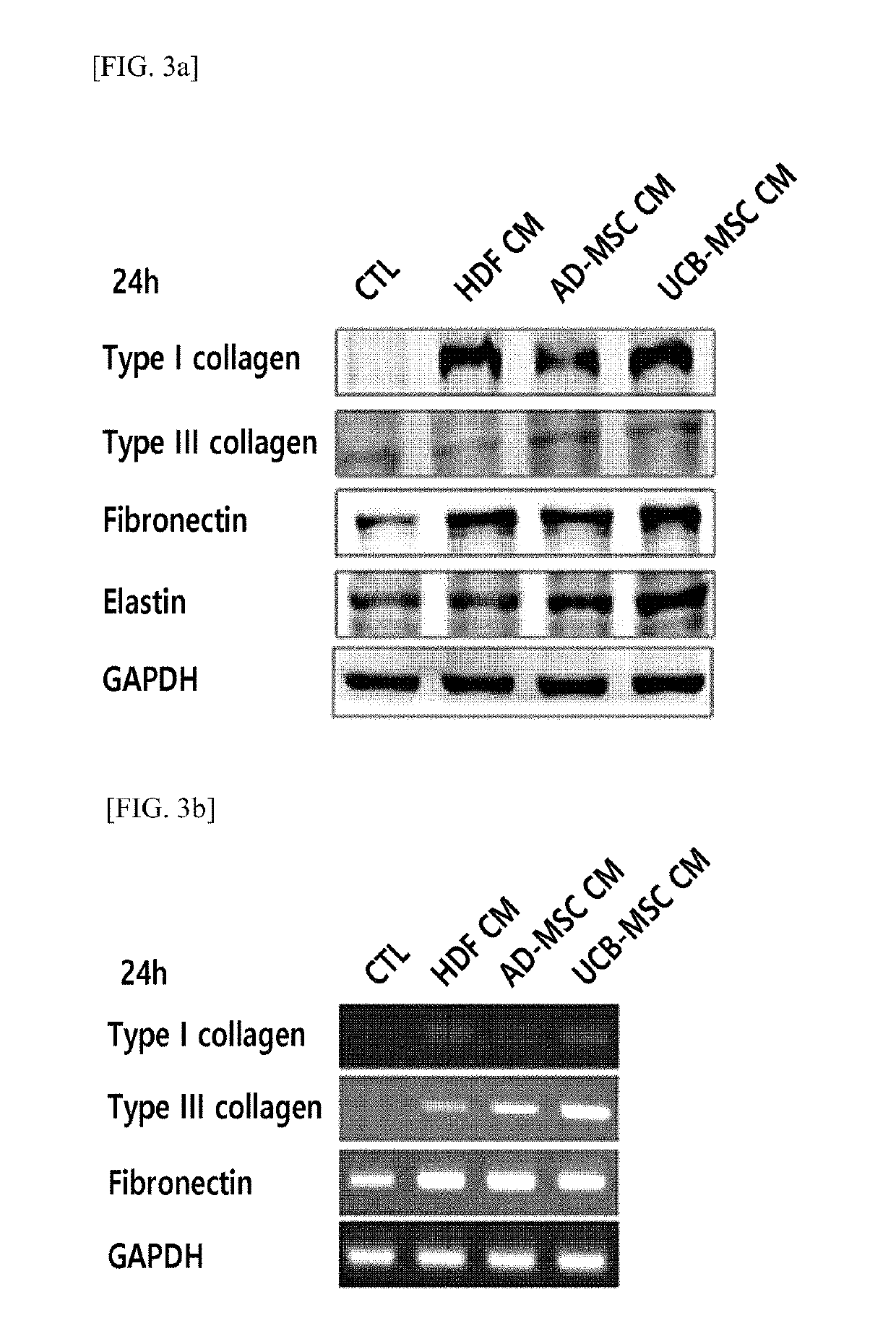 Composition Including GDF11 and Use Thereof