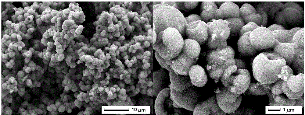 A kind of preparation method of flower-shaped molybdenum disulfide hollow microspheres