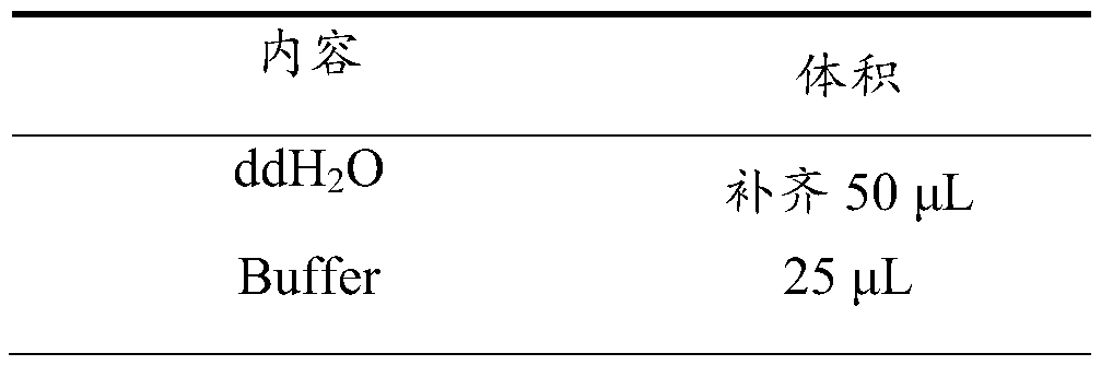 Method for increasing yield of cellulase produced by Trichoderma reesei